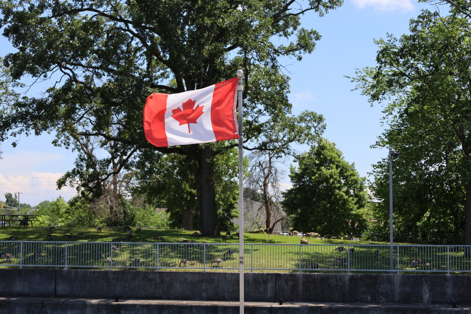 The Maple Leaf Forever
