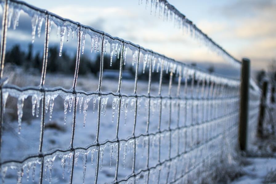 Climate action should hit the fan