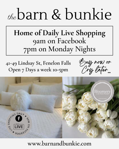 Advertisement