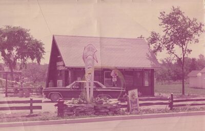 “Do you want fries with that?” Serving up fast-food history in Kawartha Lakes