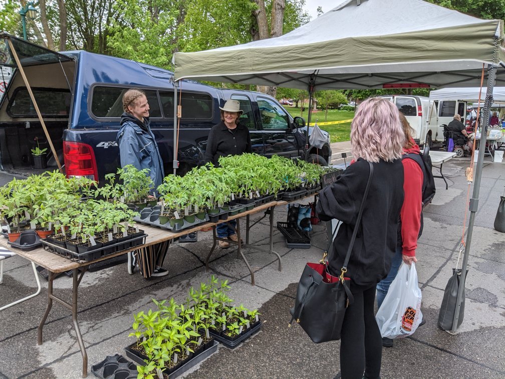 More farmers' markets set to open