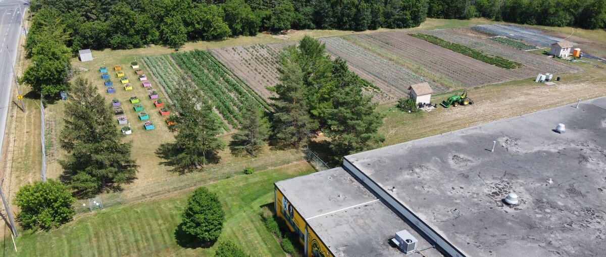 A thousand pounds of produce donated by Edwin Binney's Community Garden