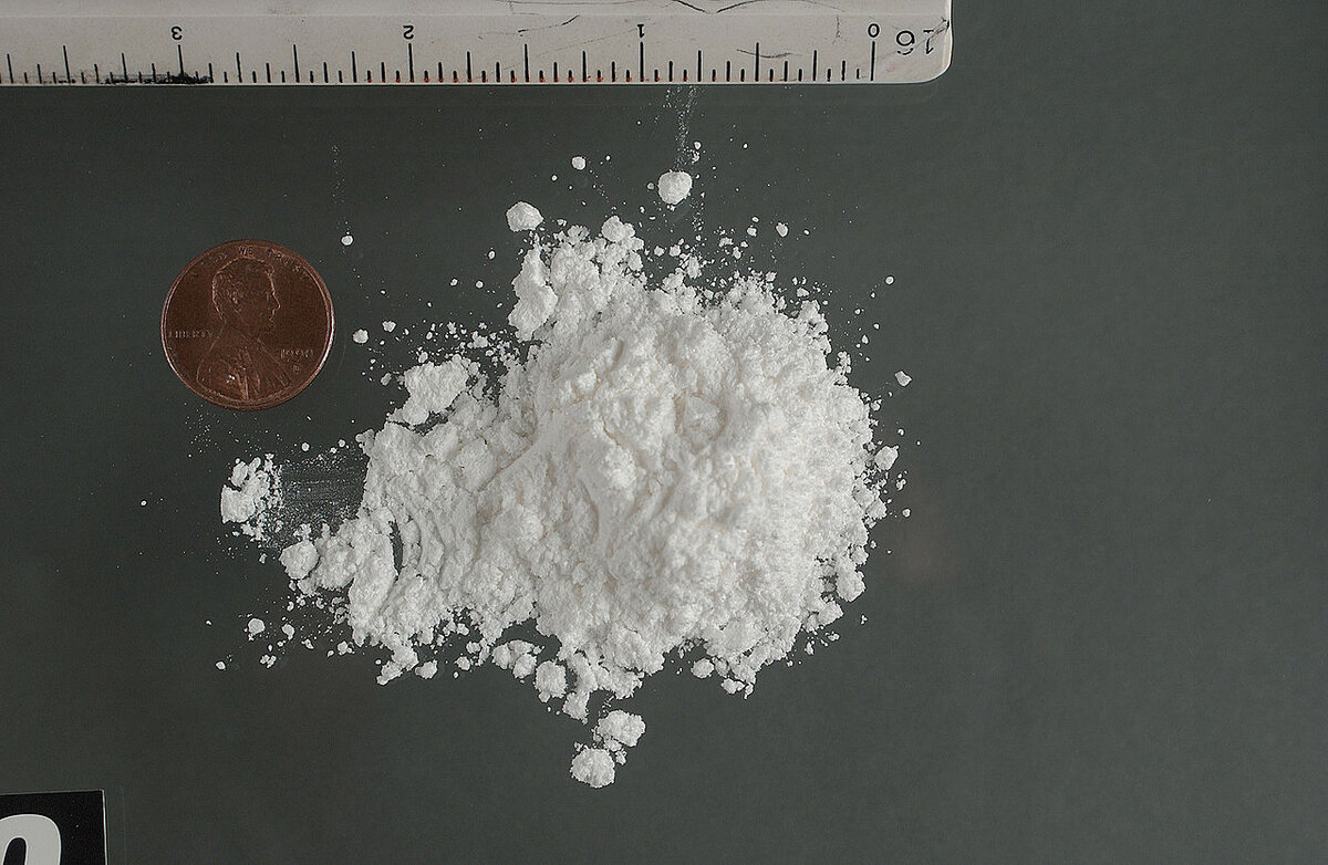Drug search warrant nets cash and cocaine