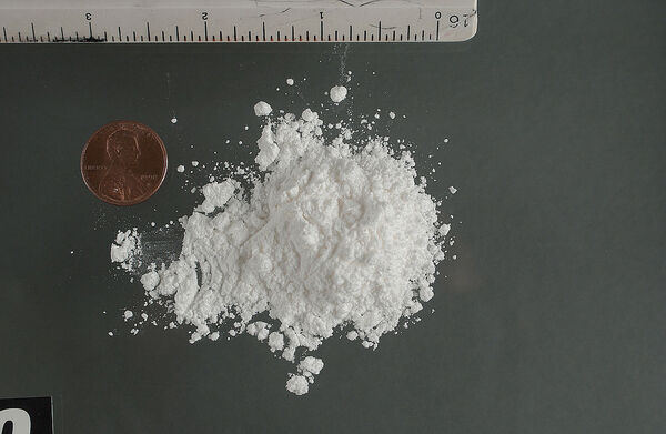Drug search warrant nets cash and cocaine