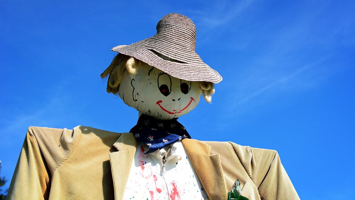 First annual Scarecrow Festival coming to Omemee