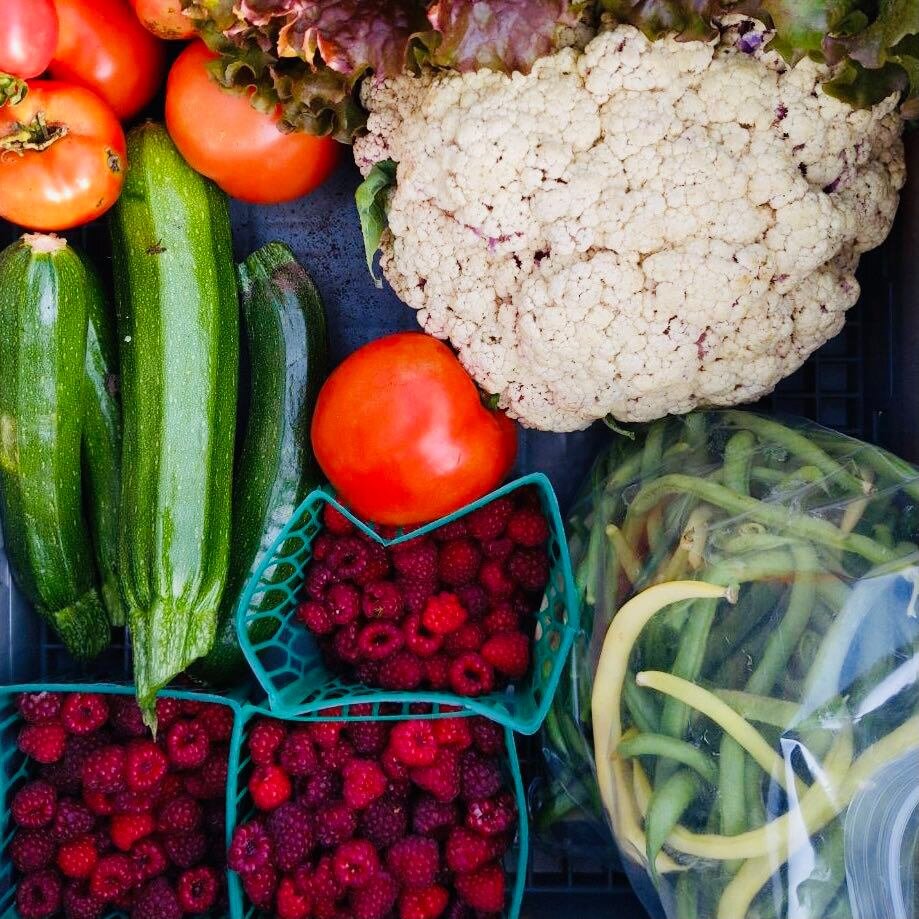 Local community garden exceeds 10,000 lbs of produce harvested in 2020