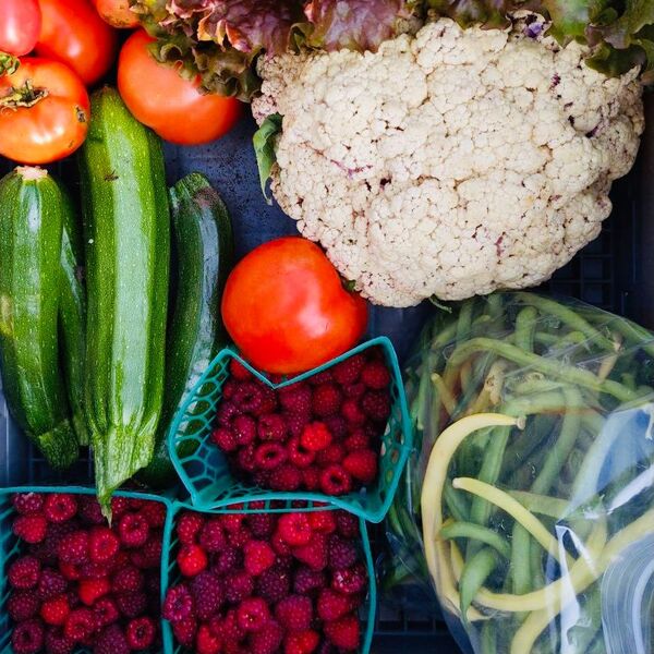 Local community garden exceeds 10,000 lbs of produce harvested in 2020