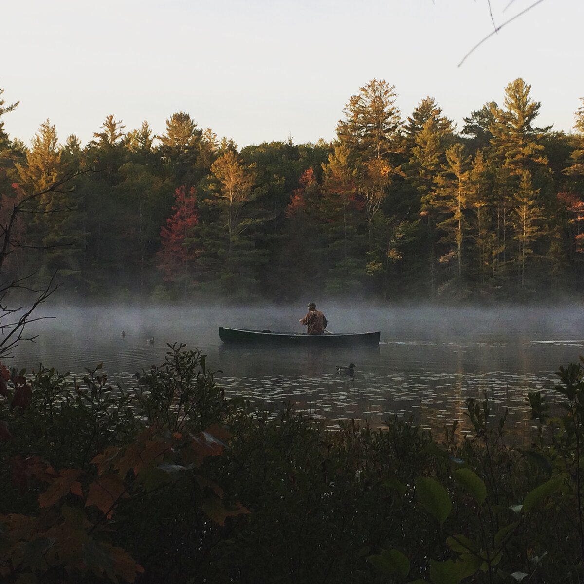 Wild Ideas: A place for hunting in a more environmentally-conscious world