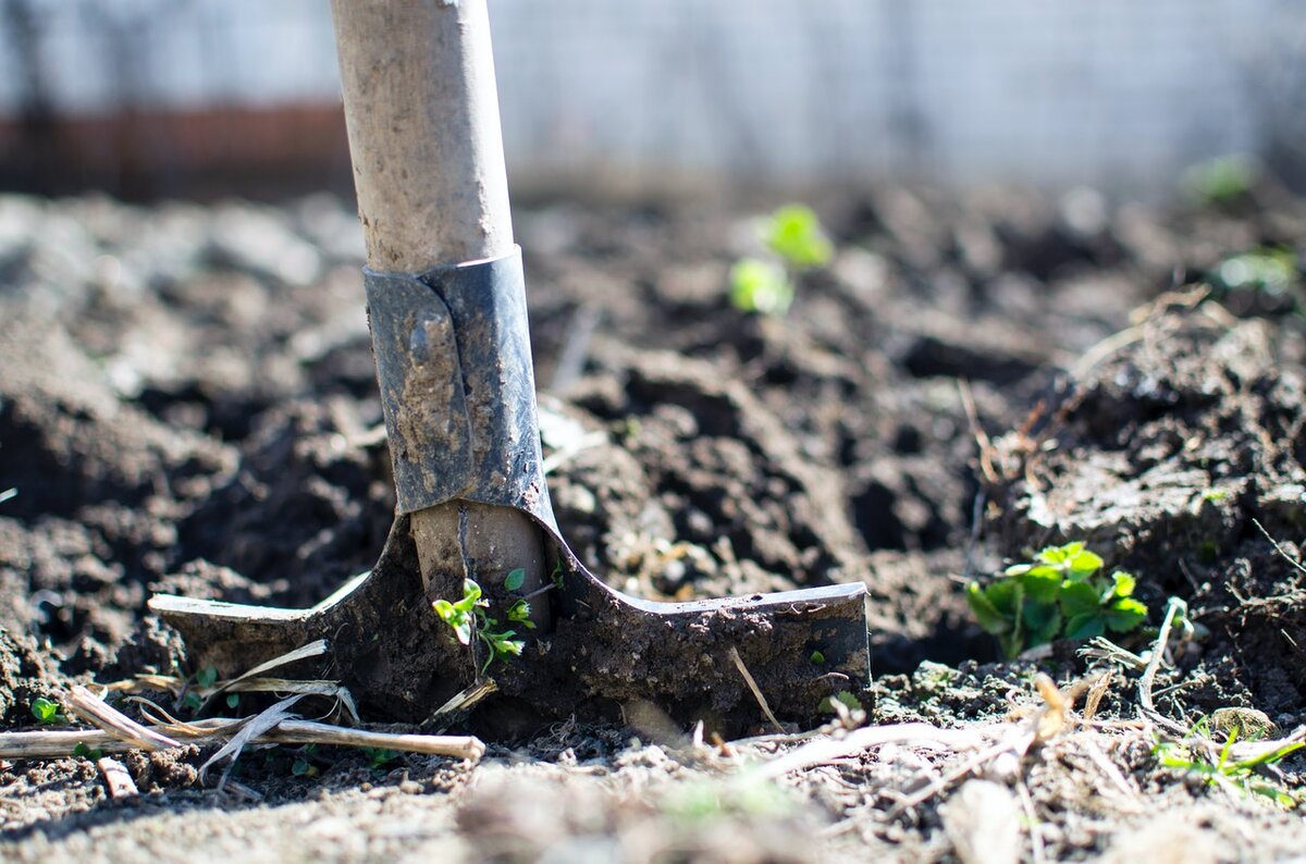 More jobs needed before new Fenelon Falls housing complex, reader says