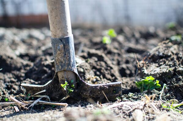More jobs needed before new Fenelon Falls housing complex, reader says