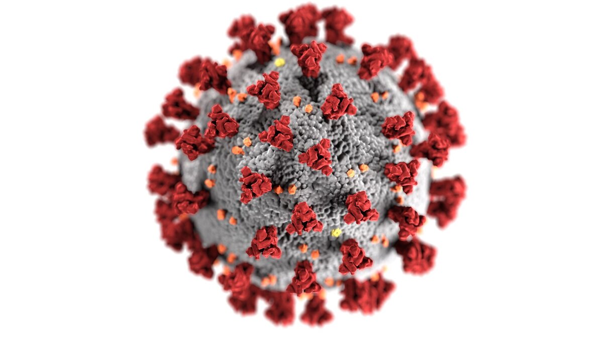No COVID-19 outbreaks in Health Unit area
