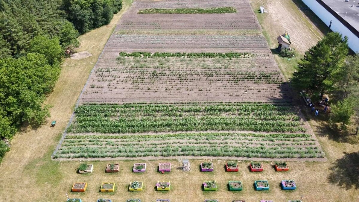 United Way community garden donates 12,700 lbs of produce to local organizations