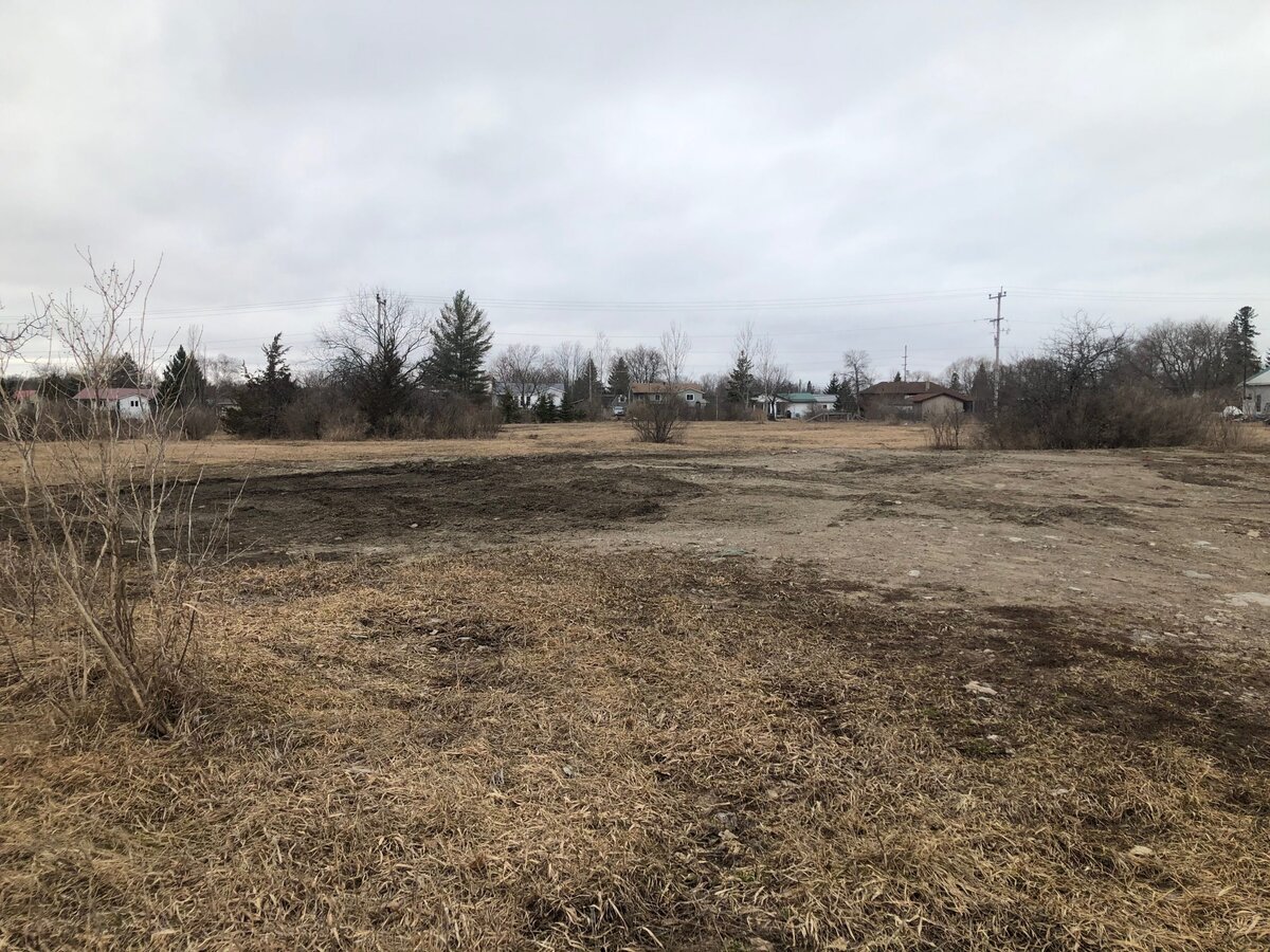 Affordable housing in Fenelon a priority but compromise is possible