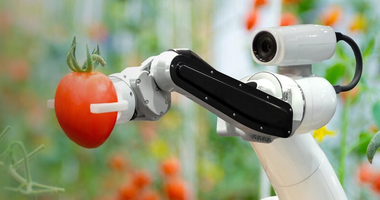 Wanted: Farmers with innovative ideas – who need to money to make them happen