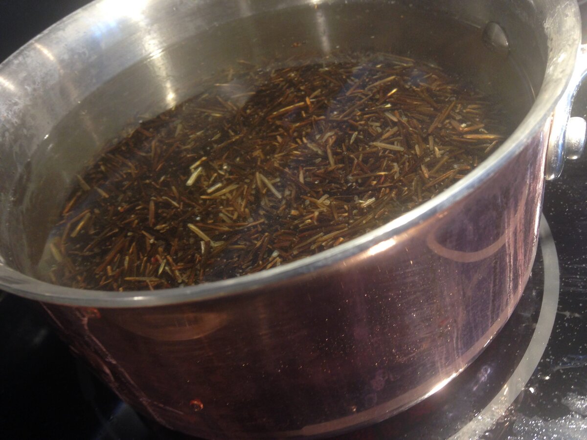 Wild rice and the Michi Saagiig Nishnaabeg