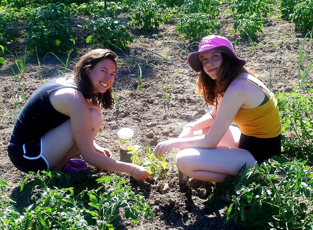 Adventurer and environmentalist plants local roots