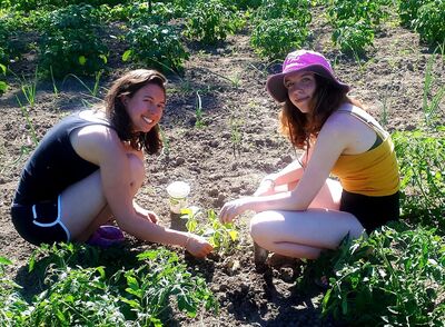 Adventurer and environmentalist plants local roots