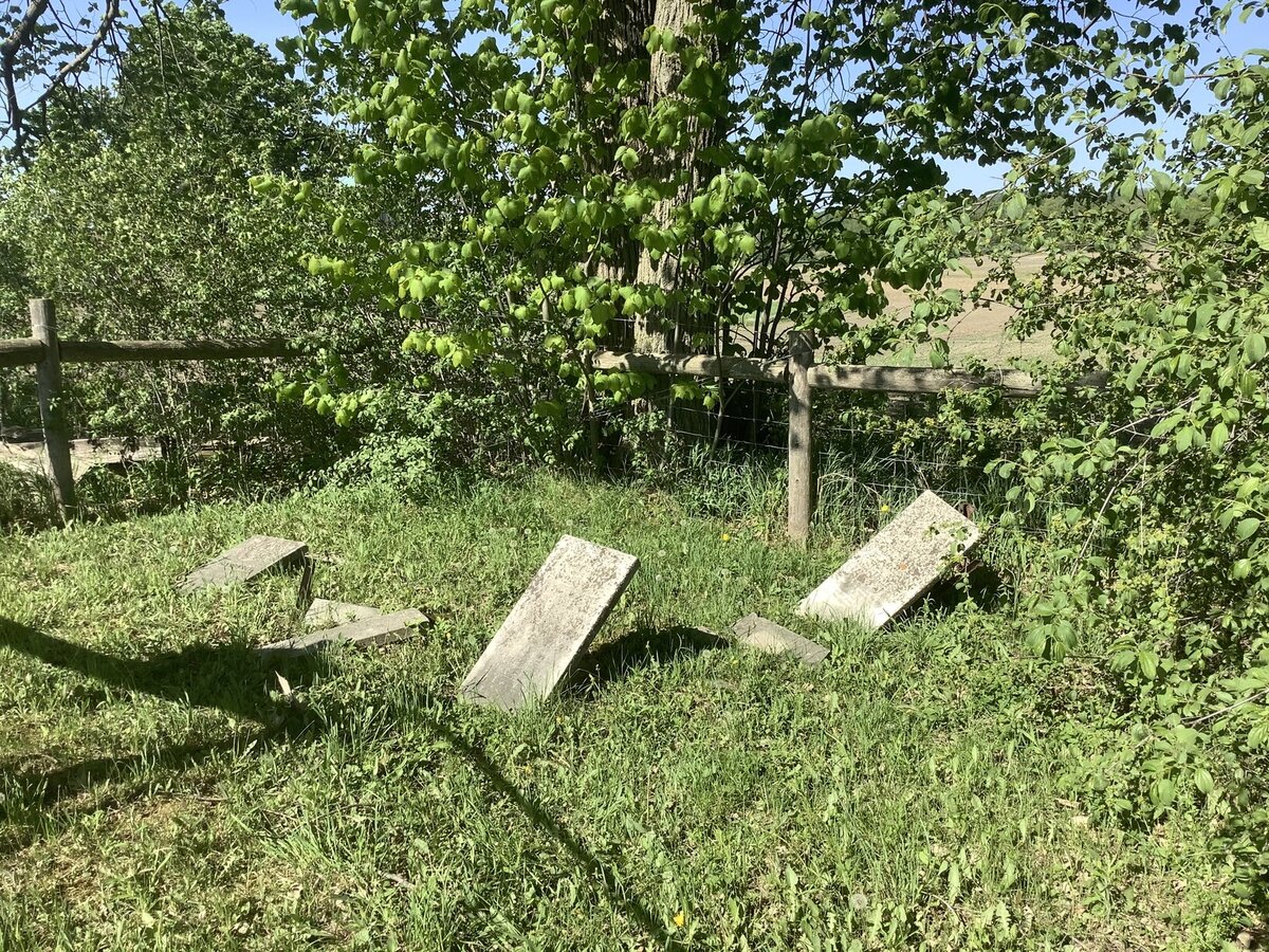 Through history’s eyes: Exploring forgotten cemeteries