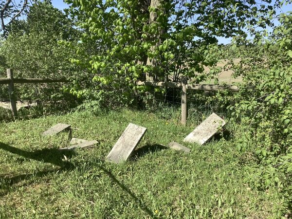 Through history’s eyes: Exploring forgotten cemeteries