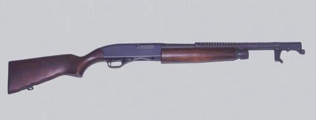 Lindsay woman charged as police find shotgun