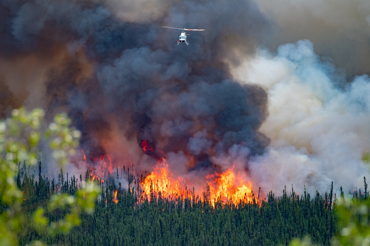 Climate emergency – a burning issue