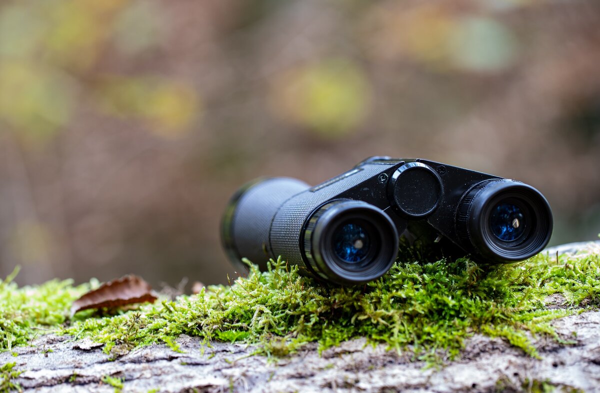Eye spy cultural scavenger hunt is on