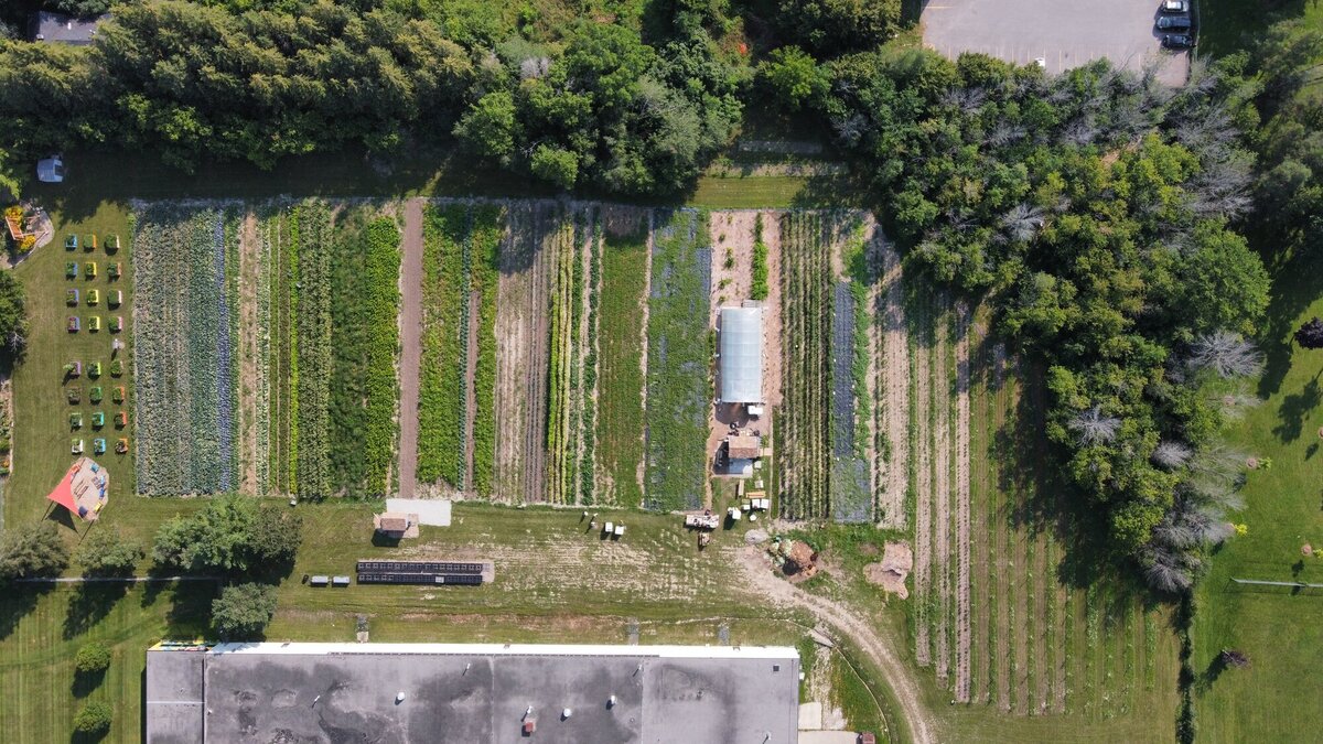 Open house to be held at community garden, all welcome