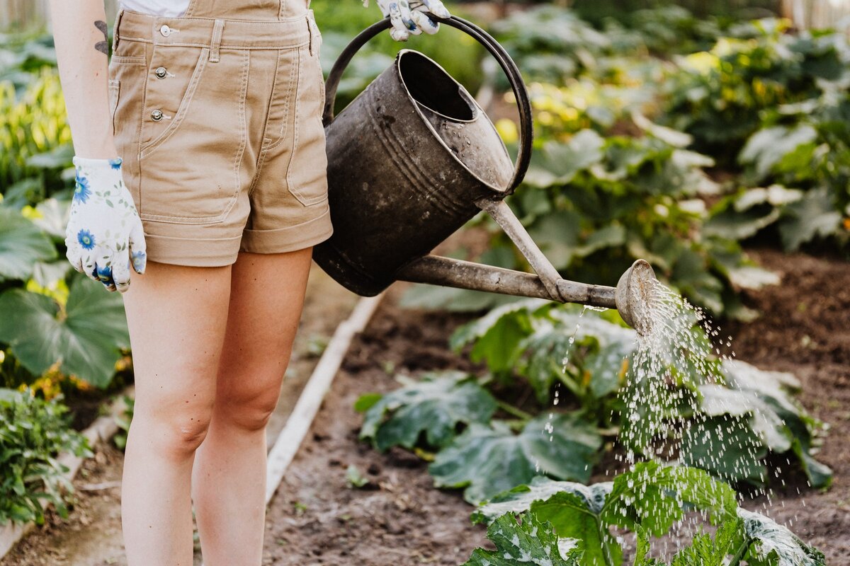 What’s gardening got to do with it?