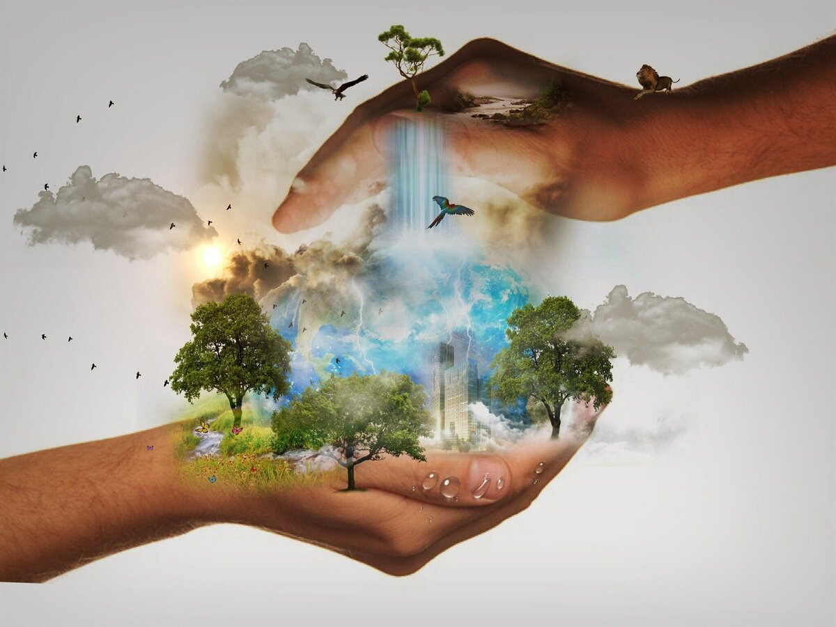 Climate Futures, a juried art exhibit, offers several cash prizes for winning entries