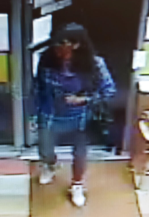Suspects wanted in Norland theft
