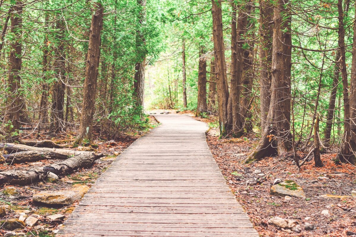 City looks to create trails master plan