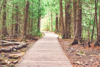 City looks to create trails master plan