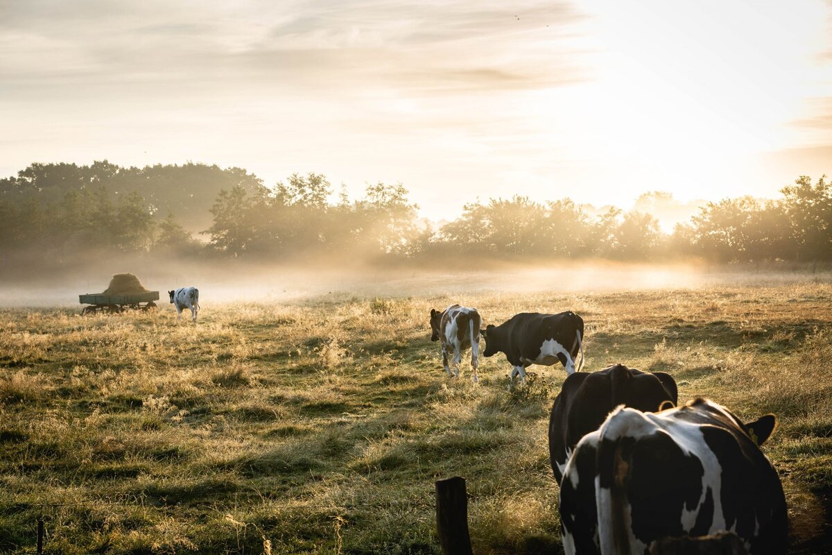 The Green Resilience Project to explore links between climate change, income security
