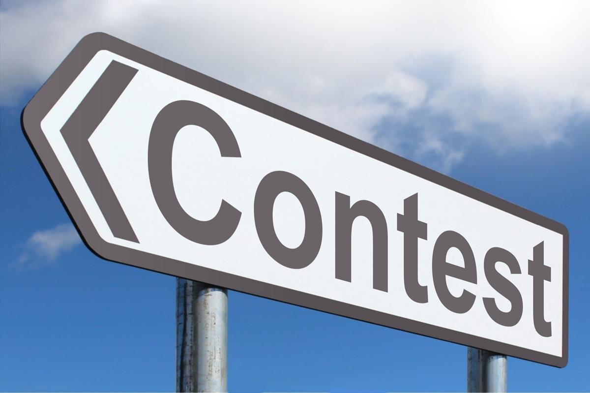 Essay writing contest for high school students about basic income
