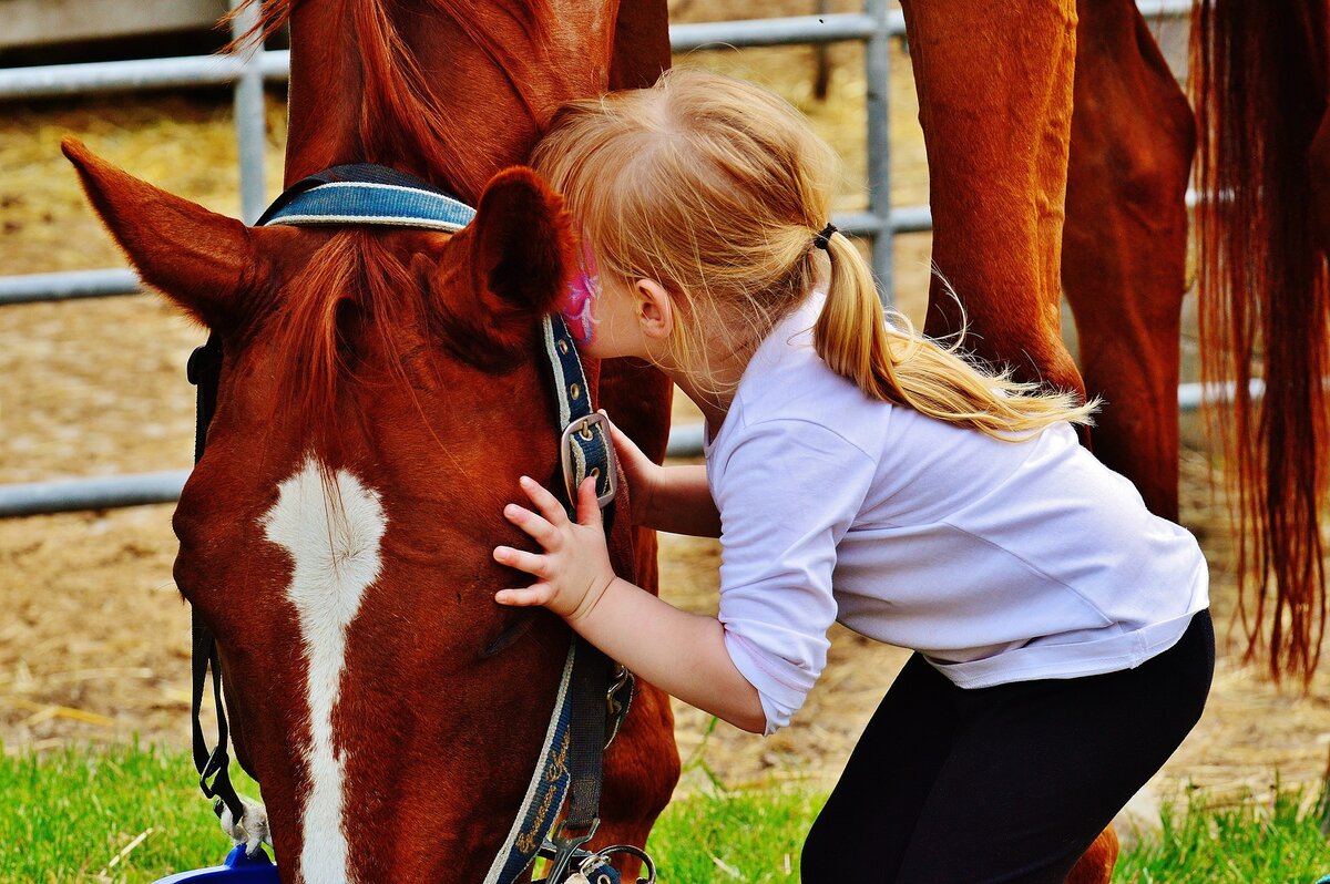 Therapeutic horseback riding group gets support from 100 Women Who Care