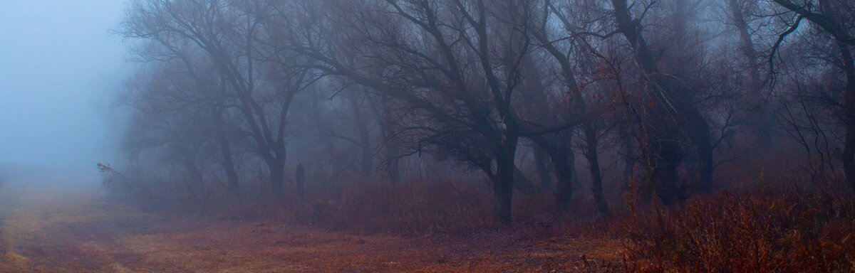 Ghosts, aliens and UFOs of Kawartha Lakes