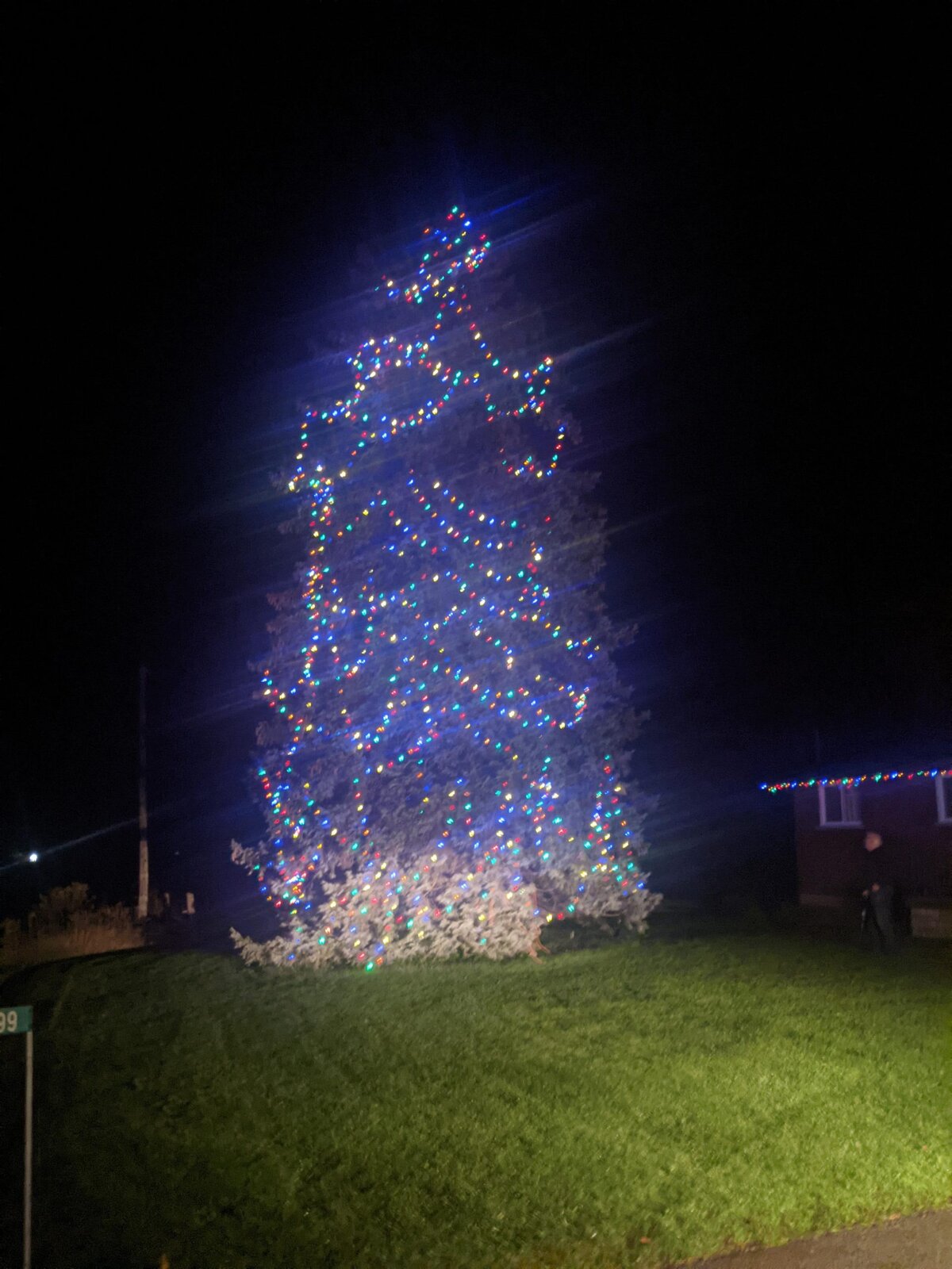 End of an era for well-known local Christmas tree