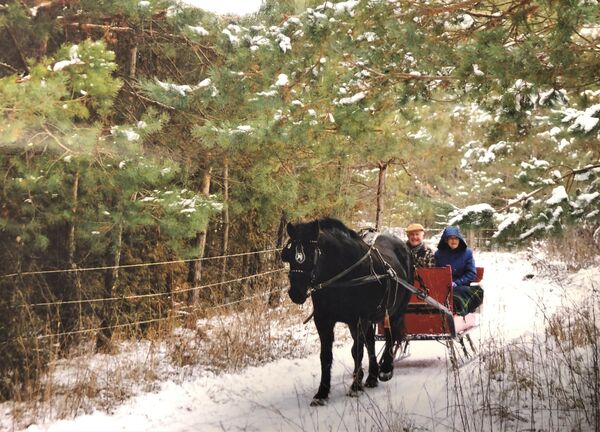 Dashing through the snow: Sleighing and sleigh rides