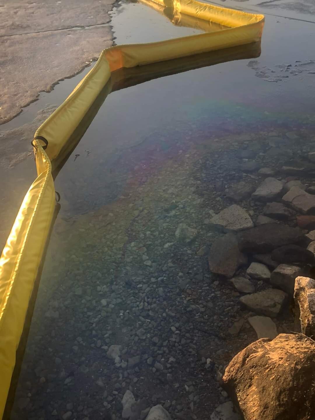Thurstonia Park oil spill has residents concerned