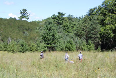 Local green initiatives across city show how to work with nature for success