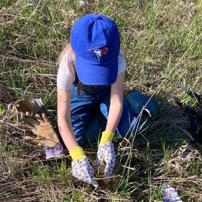 Kawartha Land Trust to host community tree-planting and mapping event