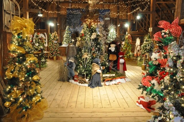 Festival of Trees returns for family fun