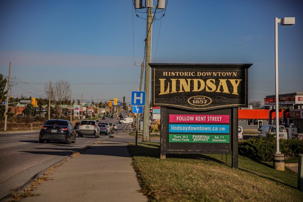 Health care, education, and downtown businesses