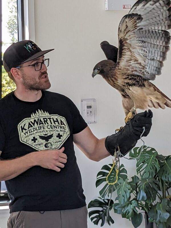 Lindsay Canadian Club to learn about being a bird-friendly community