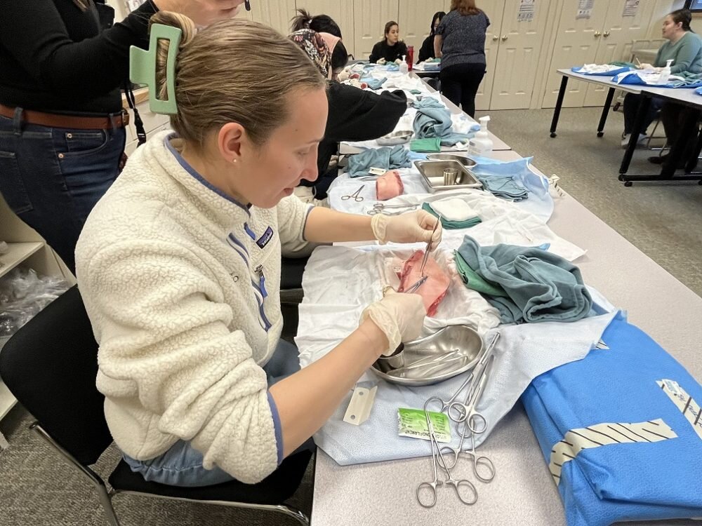 Rural medicine community experience day a success