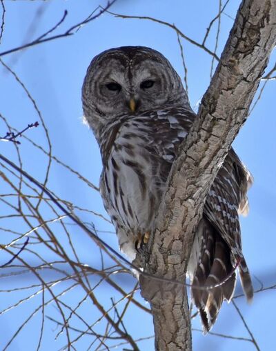Birds eye view – and the people who spend time with them