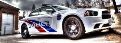 Shoplifter arrested at Lindsay business   