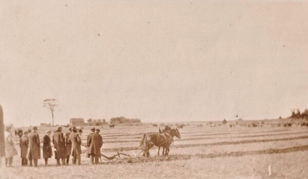 Plowing through time: The IPM in Lindsay