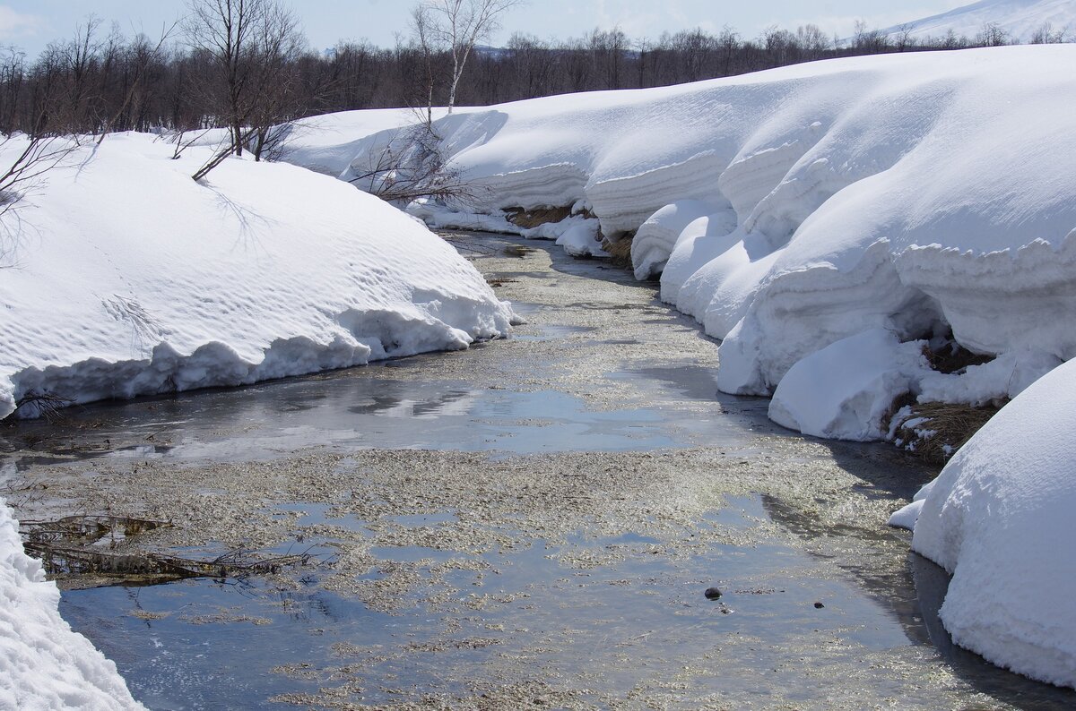 Flood watch issued by Kawartha Conservation with insistent rain, melting