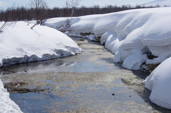 Flood watch issued by Kawartha Conservation with insistent rain, melting